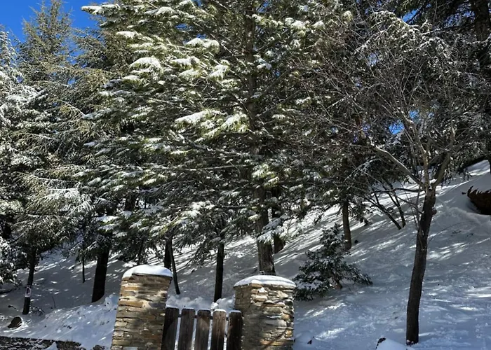 Daire Gold Sierra Nevada