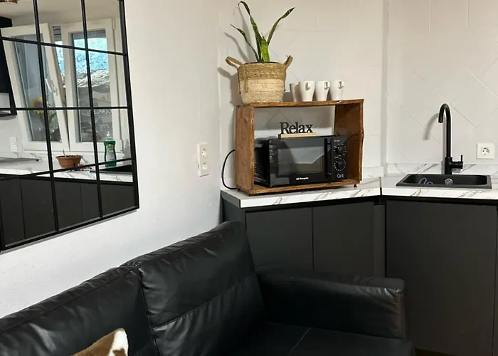 Daire Gold Sierra Nevada